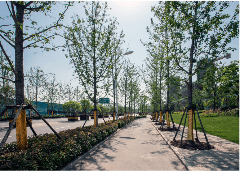 庐阳区固镇路（西二环路-怀宁路）工程 2